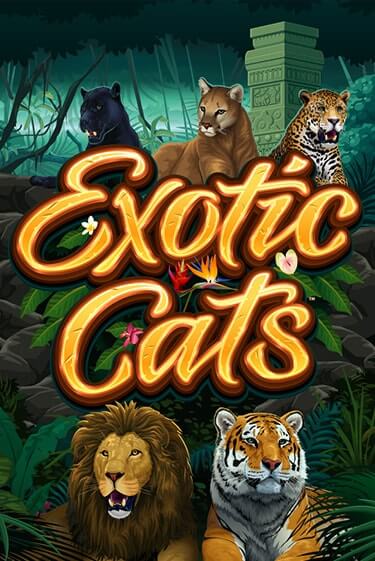 Exotic Cats бесплатно играть онлайн на сайте Гранд Казино Онлайн